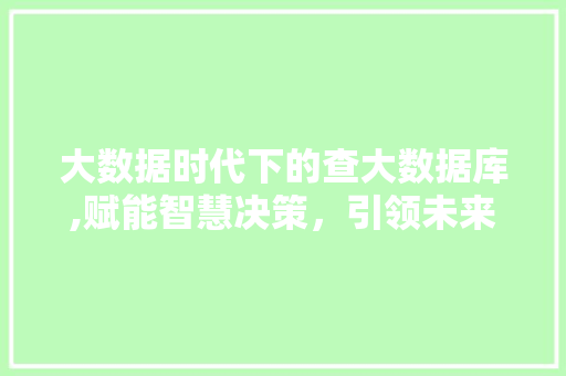 大数据时代下的查大数据库,赋能智慧决策，引领未来潮流