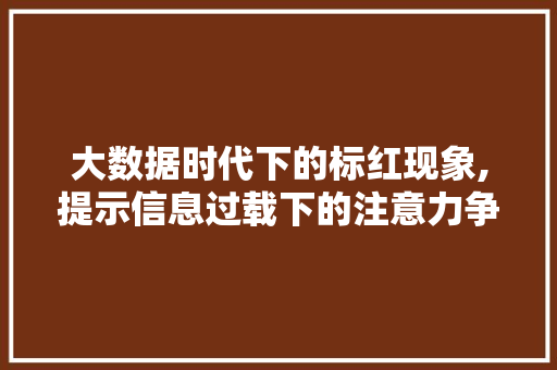 大数据时代下的标红现象,提示信息过载下的注意力争夺战