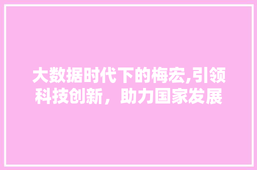大数据时代下的梅宏,引领科技创新，助力国家发展