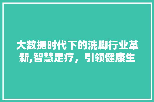 大数据时代下的洗脚行业革新,智慧足疗，引领健康生活新潮流
