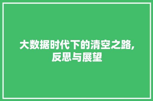 大数据时代下的清空之路,反思与展望