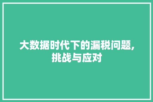 大数据时代下的漏税问题,挑战与应对