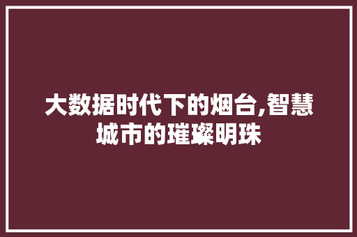 大数据时代下的烟台,智慧城市的璀璨明珠