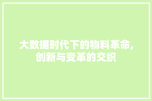 大数据时代下的物料革命,创新与变革的交织