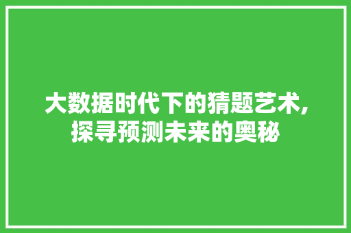 大数据时代下的猜题艺术,探寻预测未来的奥秘 百度SEO