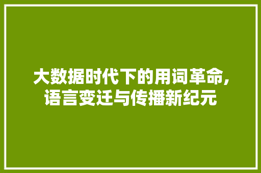 大数据时代下的用词革命,语言变迁与传播新纪元