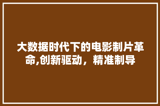 大数据时代下的电影制片革命,创新驱动，精准制导