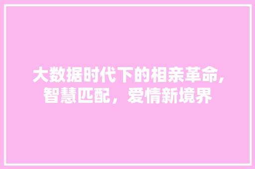 大数据时代下的相亲革命,智慧匹配，爱情新境界