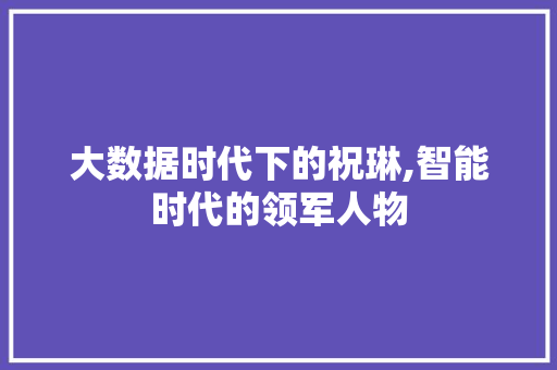大数据时代下的祝琳,智能时代的领军人物 百度SEO