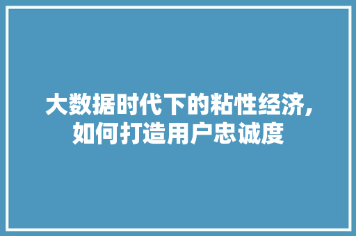 大数据时代下的粘性经济,如何打造用户忠诚度 百度SEO