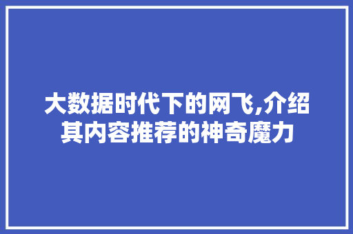 大数据时代下的网飞,介绍其内容推荐的神奇魔力