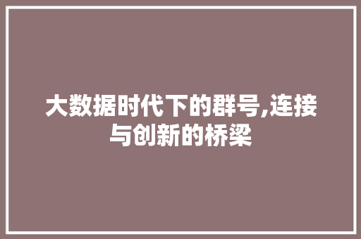 大数据时代下的群号,连接与创新的桥梁