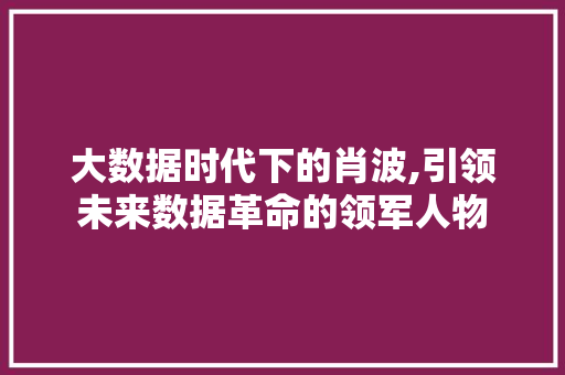 大数据时代下的肖波,引领未来数据革命的领军人物