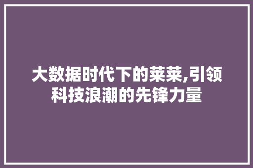 大数据时代下的莱莱,引领科技浪潮的先锋力量