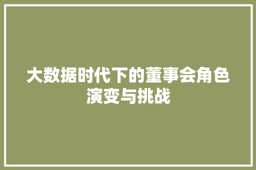 大数据时代下的董事会角色演变与挑战 百度SEO