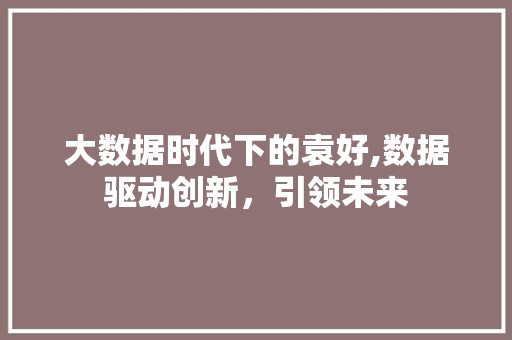 大数据时代下的袁好,数据驱动创新，引领未来