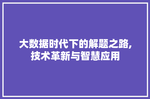 大数据时代下的解题之路,技术革新与智慧应用