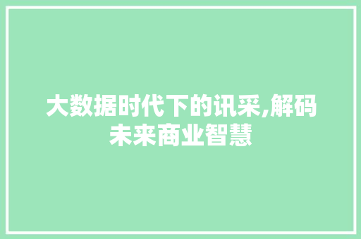 大数据时代下的讯采,解码未来商业智慧