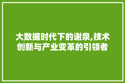 大数据时代下的谢泉,技术创新与产业变革的引领者