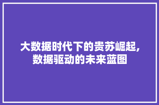 大数据时代下的贵苏崛起,数据驱动的未来蓝图 搜狗SEO