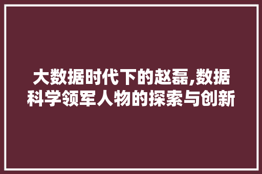 大数据时代下的赵磊,数据科学领军人物的探索与创新 GoogleSEO