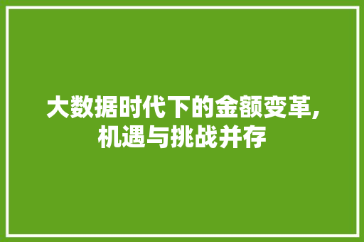 大数据时代下的金额变革,机遇与挑战并存 GoogleSEO