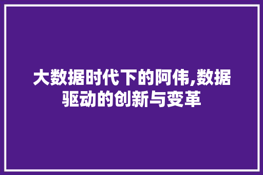 大数据时代下的阿伟,数据驱动的创新与变革