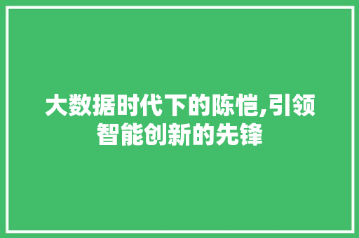 大数据时代下的陈恺,引领智能创新的先锋