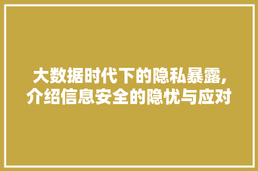大数据时代下的隐私暴露,介绍信息安全的隐忧与应对之路