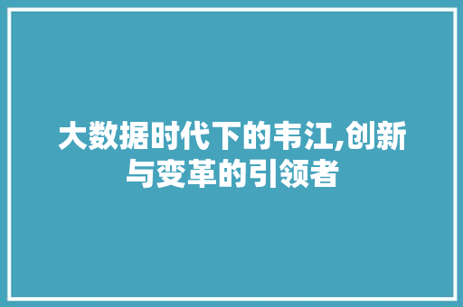 大数据时代下的韦江,创新与变革的引领者
