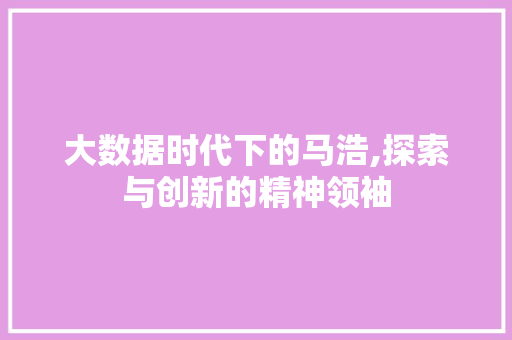 大数据时代下的马浩,探索与创新的精神领袖