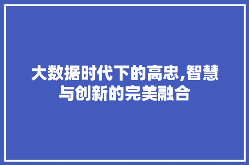 大数据时代下的高忠,智慧与创新的完美融合