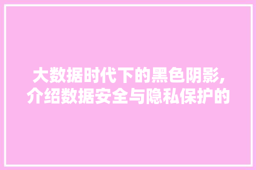 大数据时代下的黑色阴影,介绍数据安全与隐私保护的挑战