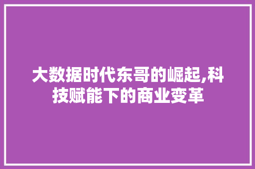 大数据时代东哥的崛起,科技赋能下的商业变革