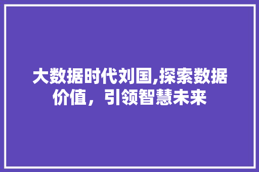 大数据时代刘国,探索数据价值，引领智慧未来 神马SEO
