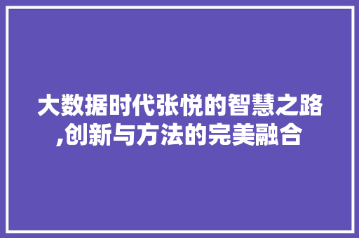 大数据时代张悦的智慧之路,创新与方法的完美融合