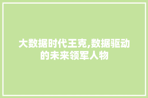大数据时代王克,数据驱动的未来领军人物