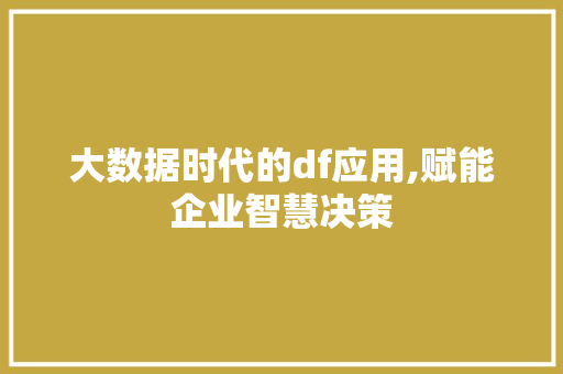 大数据时代的df应用,赋能企业智慧决策