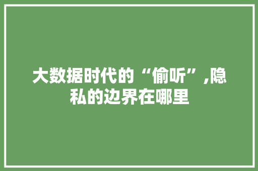 大数据时代的“偷听”,隐私的边界在哪里
