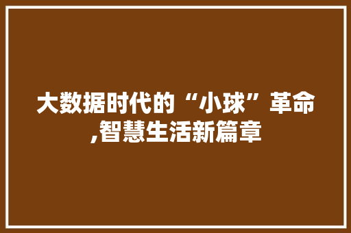 大数据时代的“小球”革命,智慧生活新篇章