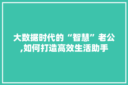 大数据时代的“智慧”老公,如何打造高效生活助手