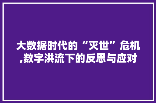 大数据时代的“灭世”危机,数字洪流下的反思与应对 GoogleSEO