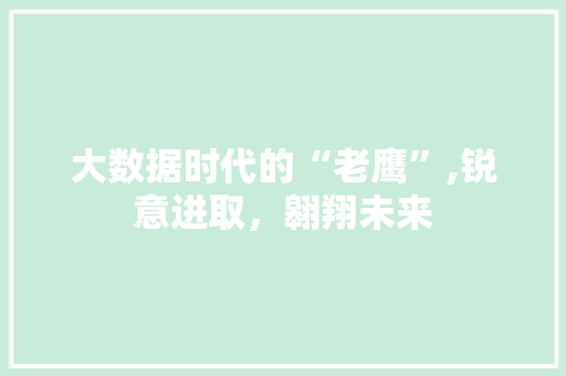 大数据时代的“老鹰”,锐意进取，翱翔未来