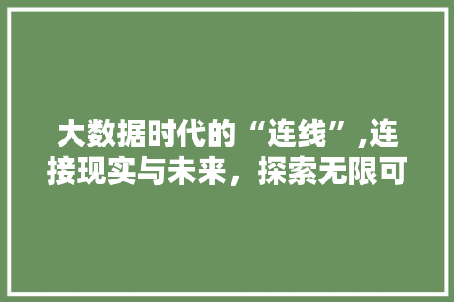 大数据时代的“连线”,连接现实与未来，探索无限可能