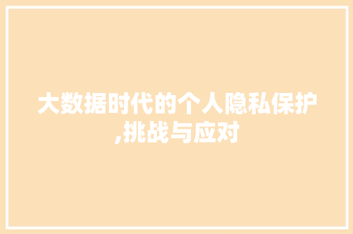 大数据时代的个人隐私保护,挑战与应对 必应SEO