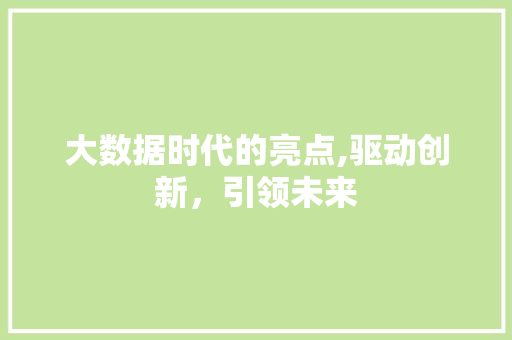 大数据时代的亮点,驱动创新，引领未来 必应SEO
