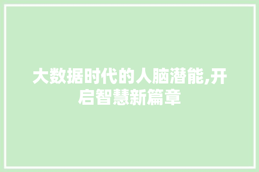 大数据时代的人脑潜能,开启智慧新篇章 必应SEO