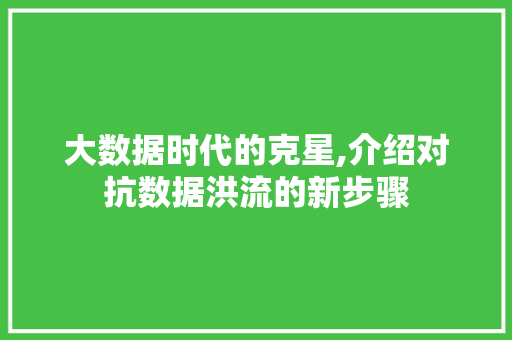 大数据时代的克星,介绍对抗数据洪流的新步骤