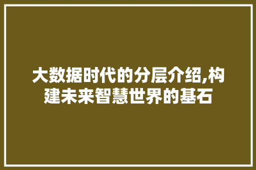 大数据时代的分层介绍,构建未来智慧世界的基石 神马SEO