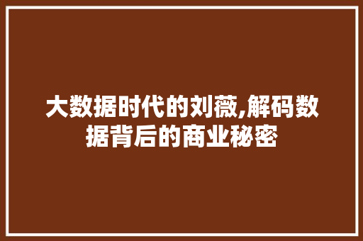 大数据时代的刘薇,解码数据背后的商业秘密